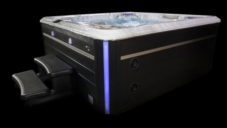 Гидромассажный спа бассейн Hydropool Self Cleaning 790 Platinum Гидромассажный спа бассейн Hydropool Self Cleaning 790 Platinum